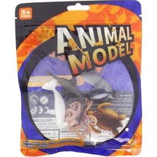 Kaia Life Model Deniz Hayvanları