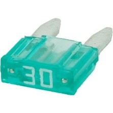 YLZ MİNİ BIÇAK SİGORTA 30 A (11*16 MM)