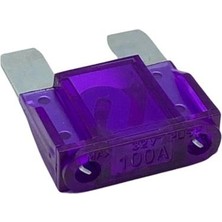 YLZ Maxı Bıçak Sigorta Mor 100 A (29*34 Mm)