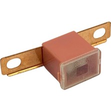 YLZ Yan Ayaklı Sigorta (Uzun Ayak) (63*22 Mm) 30 A