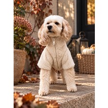 Mellow Köpek Sweatshirt-Krem-Pudra-Bordo