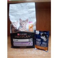 Purina Pro Plan Kitten Tavuklu Yavru Kedi Maması 1,5 Kg+10 Adet Felix Yavru Kedi Tavuklu Yaş Mama 85 Gram