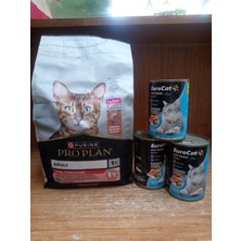 Purina Pro Plan Vital Functions Adult Somonlu Yetişkin Kedi Maması 1.5 Kg+3 Adet 400 gr Ton Balıklı Sos Içinde Parça Etli Kedi Konserve