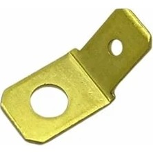 ERKEK FİŞ (6.3 MM) (DELİK ÇAPI:4 MM)