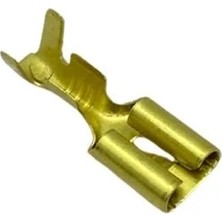 DİŞİ FİŞ MİNİ (TIRNAKLI) (4.8 MM)