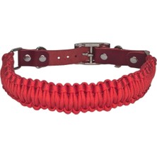 Moonparacord Köpek Tasması Kırmızı 37-42 cm