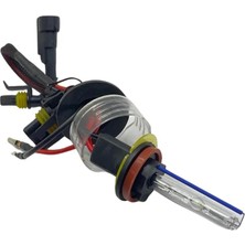 Forza Xenon H8/H9/H11 Ampul 8000K