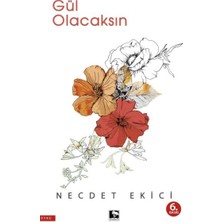 Çınaraltı Yayınları Gül Olacaksın