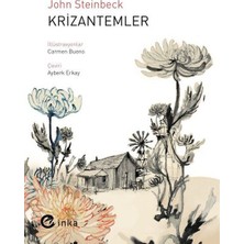 İnka Kitap Krizantemler