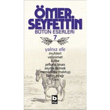 Bilgi Yayınevi Yalnız Efe