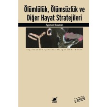 Ayrıntı Yayınları Ölümlülük Ölümsüzlük ve Diğer Hayat Stratejileri