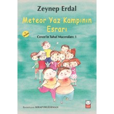 Kırmızı Kedi Çocuk Meteor Yaz Kampının Esrarı