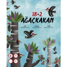 Erdem Yayınları 18+2 Ağaçkakan