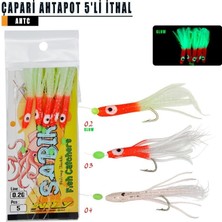 Wily Çapari Ahtapot 5'li Ithal