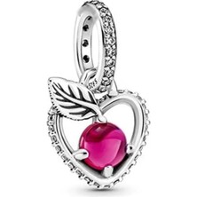 Defne Silver Sallantılı Pembe Taşlı Kalp Charm