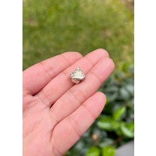 Defne Silver Mantar Kurbağa Charm