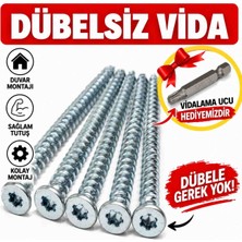 Dübelsiz Vida