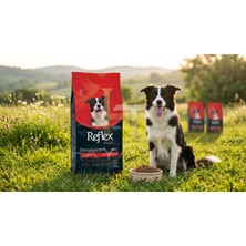 Reflex Plus Kuzu Etli Yetişkin Köpek Maması 12 kg Orta ve Büyük Irk Için Özel Formül