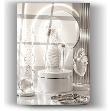 Mgi Design Cam Tablo Insan Anatomisi, Dna ve Kalp Tıp Temalı Duvar Dekorasyonu