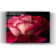 Mgi Design Lüks Floral Sanat | Koyu Zeminde Canlı Kırmızı Gül Desenli Yatay Cam Tablo-Ev-Ofis Dekorasyon