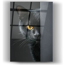 Mgi Design Kara Kedi-Cam Tablo- Ev ve Ofis Dekorasyonu