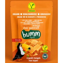 SHC4200 Organik Glutensiz Vegan Mangolu Mini Küpler 30 gr