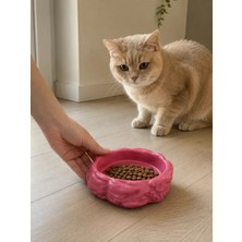 Motto Ticaret Eko Form Model Beton Kedi Köpek Mama ve Su Kabı (16CM*16CM*5.5CM) - Pembe