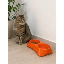 Motto Ticaret Ikili Model Beton Kedi Köpek Mama ve Su Kabı (24CM × 12CM × 5cm) - Turuncu