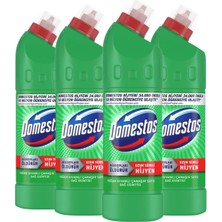 Brf Store Buradabulabilirsin Domestos Yoğun Kıvamlı Çamaşır Suyu Dağ Esintisi 750 ml X4