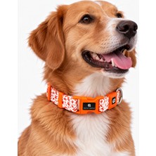 REVYNEE Premium Köpek Boyun Tasması Ayarlanabilir Dayanıklı Konforlu Köpek Tasması