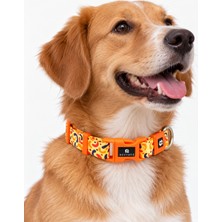 REVYNEE Premium Köpek Boyun Tasması Ayarlanabilir Dayanıklı Konforlu Köpek Tasması