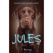 Domingo Yayınevi Jules