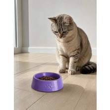 Sh Pati Desen Model Beton Kedi Köpek Mama ve Su Kabı 13 cm Çap x 4 cm - Mor Sh Najmaddin
