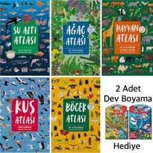 Taze Kitap Su Altı Atlası - Ağaç Atlası - Hayvan Atlası - Kuş Atlası - Böcek Atlası (Ciltli) +2 Aba Kitap Dev Boyama Posteri Hediye