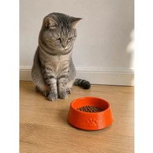 Sh Ticaret Pati Desen Model Beton Kedi Köpek Mama ve Su Kabı 13 cm Çap x 4 cm - Turuncu