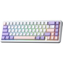 1001 F65 Nimbus V3 Switch Mekanik Rgb Tkl Makrolu Hot Swap Kablosuz Klavye Pastel