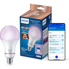 1001 Smart Lighting LED Ampul A80 E27 150W Eşdeğer Rgb - Google Home, Alexa, Homekit ve Matter Uyumlu