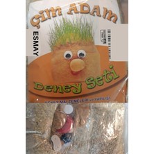 1001 Çim Adam Deney Seti 10 Adet GNSRKFAZ2624