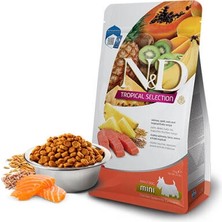 Belirtilmemiş Tropical Selection Somonlu ve Tropikal Meyveli Mini Irk Yetişkin Köpek Maması 5 kg