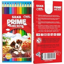 Belirtilmemiş ART.1045 12LI Prime Kuru Boya