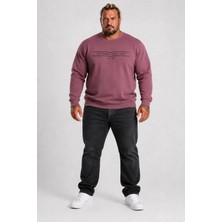 Moc Grande Mocgrande Erkek Büyük Beden Sıfır Yaka 3ip Sweat Original 24203 Eflatun