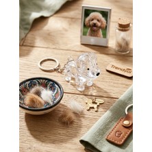 Golden Retriever Tüy Saklama Kapsülü
