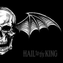 SoundBox Avenged Sevenfold - Haıl To The Kıng - 1 CD (Plak Değildir)