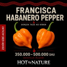 Hot By Nature FRANCISCA HABANERO PEPPER / 500.000 Scoville - Gerçek Taze Acı Biber