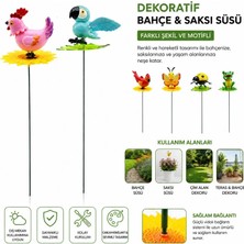 HemenGo Dekoratif Yaylı Hayvan Figürlü - Bahçe ve Saksı Süsü - Dış Mekan Dekoru
