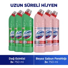 Domestos Çamaşır Suyu Dağ Esintisi 750 ml X3 + Domestos Çamaşır Suyu Beyaz Sabun Ferahlığı 750 ml X3