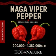 Hot By Nature NAGA VIPER / 900.000 – 1.400.000 Scoville - Gerçek Taze Acı Biber