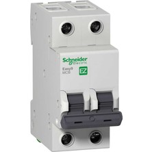 Schneider Electric Schneıder EZ9F34225 Easy 9 2p 25A 4.5ka C Tipi Otomatik Sigorta