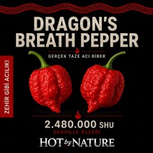 Hot By Nature DRAGONS BREATH PEPPER / 2.500.000 Scoville - Gerçek Taze Acı Biber