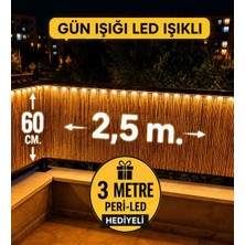 Greenosier 60CM.X2,5M Bambu Balkon Çiti